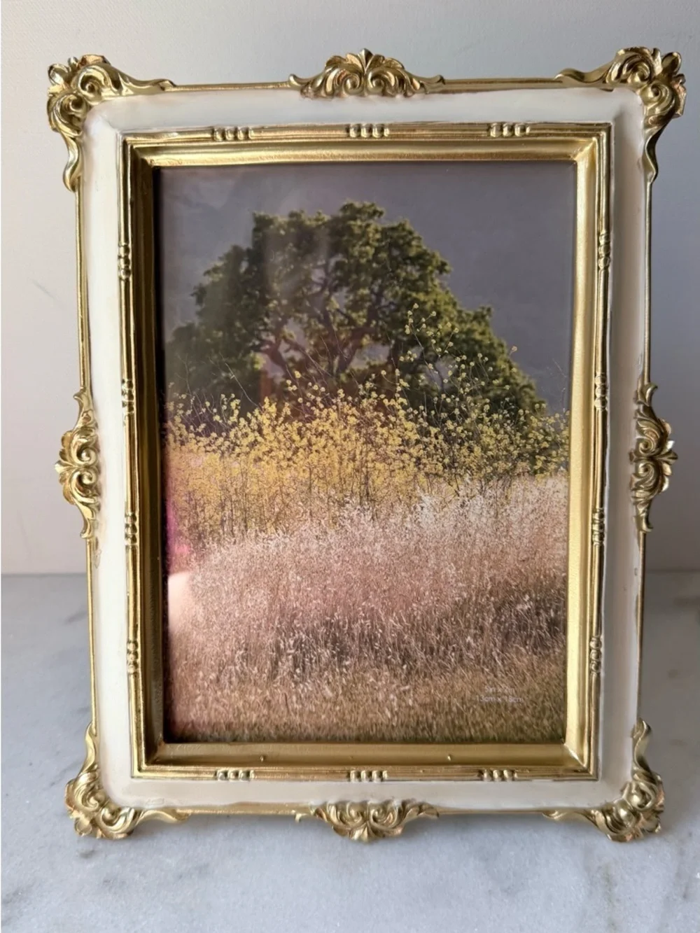 Vintage-Style Gold and Cream Ornate Photo Frame - Home Accents
